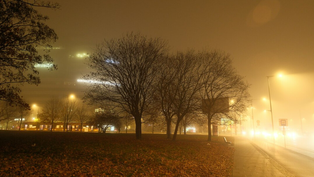 foggy city street at night
